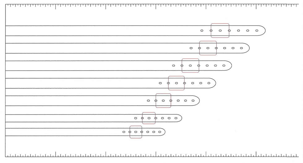 Dog Collar Sizing Chart